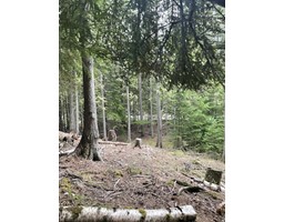 Lot 13 Slocan West Road, Nelson, BC V1L4J1 Photo 5