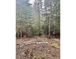 Lot 13 Slocan West Road, Nelson, BC V1L4J1 Photo 6
