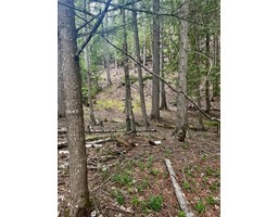 Lot 13 Slocan West Road, Nelson, BC V1L4J1 Photo 4