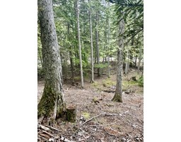 Lot 13 Slocan West Road, Nelson, BC V1L4J1 Photo 7