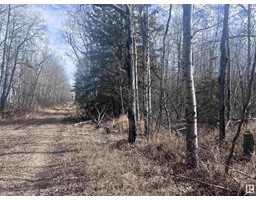 4 23 63 17 Se, Rural Athabasca County, AB T0A0M0 Photo 7