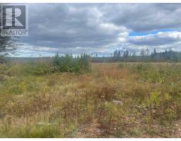 136333 Peters Pond, Botwood, NL A0H1E0 Photo 3