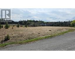 315 5241 Township Road 325 A, Rural Mountain View County, AB T0M1X0 Photo 7
