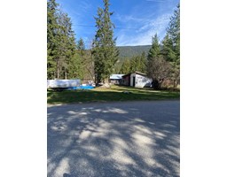 Parcel A Slocan St, Slocan, BC V0G2C0 Photo 5
