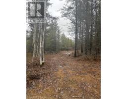 Lot 3 Linden Drive, Greater Sudbury, ON P3P1Y7 Photo 5