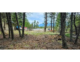 Lot 64 Copper Point Way, Windermere, BC V0A1K3 Photo 5