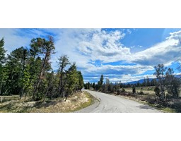 Lot 64 Copper Point Way, Windermere, BC V0A1K3 Photo 7