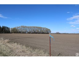 51209 Rge Rd 273, Rural Parkland County, AB T7Y1H5 Photo 5