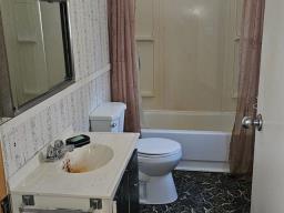 Bathroom - 7 Ch Blanchard, Gracefield, QC J0X1W0 Photo 5