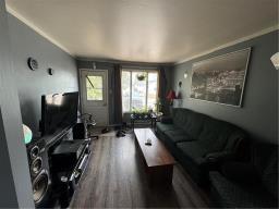Living room - 297 Cedar Crescent, Steinbach, MB R5G0T3 Photo 6