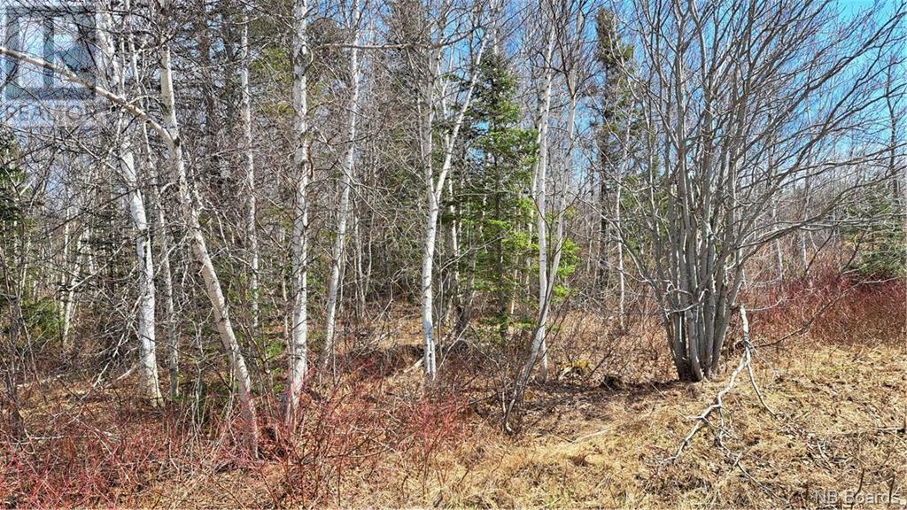 1 28 Acres Chemin Four Roads