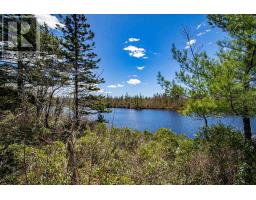 Lot 44 Highway 308, East Quinan, NS B0W3M0 Photo 6