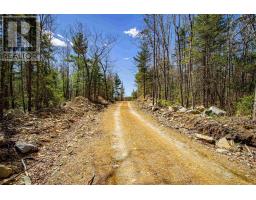 Lot 44 Highway 308, East Quinan, NS B0W3M0 Photo 7