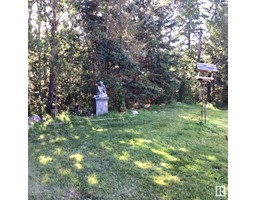 Primary Bedroom - 245008 Twp Rd 474, Rural Wetaskiwin County, AB T0C1Z0 Photo 6
