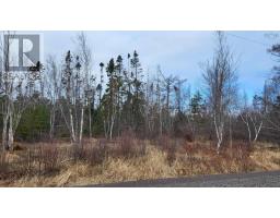 8 Acres Otter Road, Waterside, NS B0K1H0 Photo 2