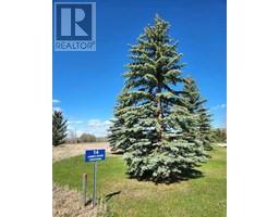 14 James River, Rural Clearwater County, AB T0M1X0 Photo 2