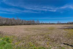 Lot 33 Concession 1 Sherkston Road, Fort Erie, ON L0S1N0 Photo 5