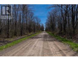 Lot 33 Conc 1 Sherkston Rd, Fort Erie, ON L0S1N0 Photo 6