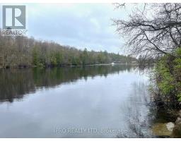 0 Pineview Crt, Marmora And Lake, ON K0K2M0 Photo 3