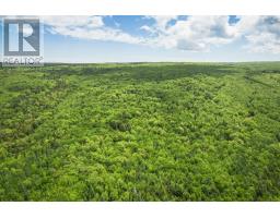 38 Acres Southside River Denys Rd, Valley Mills, NS B0E2Y0 Photo 5