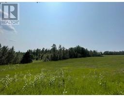 590095 Range Road 110, Rural Woodlands County, AB T7S1A1 Photo 3