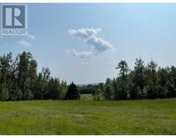 590095 Range Road 110, Rural Woodlands County, AB T7S1A1 Photo 2