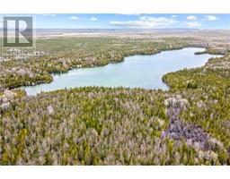 Lot 41 42 4 Concession, Northern Bruce Peninsula, ON N0H1Z0 Photo 6