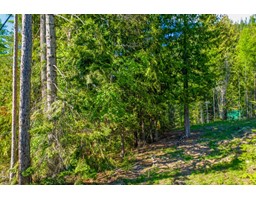 13589 Mountain Shores Road, Boswell, BC V0B1A4 Photo 7