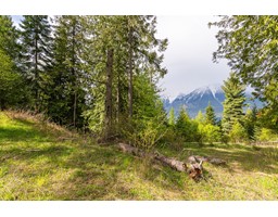 13637 Mountain Shores Road N, Boswell, BC V0B1A0 Photo 7
