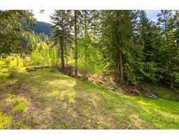 13637 Mountain Shores Road N, Boswell, BC V0B1A0 Photo 6