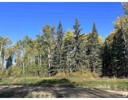 Lot 8 Forest Road Rr 214, Rural Athabasca County, AB T9S1C4 Photo 2