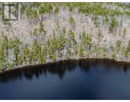 Lot 59 Highway 308, East Quinan, NS B0W3M0 Photo 4