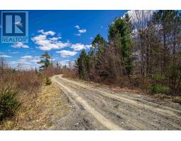Lot 59 Highway 308, East Quinan, NS B0W3M0 Photo 7