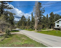 Lot 10 Wills Road, Fairmont Hot Springs, BC V0A1K1 Photo 3