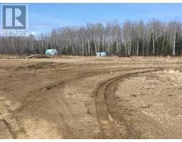 169 Highway 88, Red Earth Creek, AB T0G1X0 Photo 3