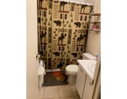 Full bathroom - 117 A 2nd Street, Cranbrook, BC V1C3L4 Photo 6