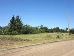 60 Cache Creek Road, Carberry, MB R0K0H0 Photo 4