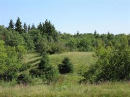 216 Cache Creek Road, Carberry, MB R0K0H0 Photo 4
