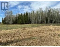 Pt Of Nw 33 68 22 W 4, Rural Athabasca County, AB T9S2A5 Photo 3