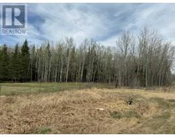 Pt Of Nw 33 68 22 W 4, Rural Athabasca County, AB T9S2A5 Photo 2