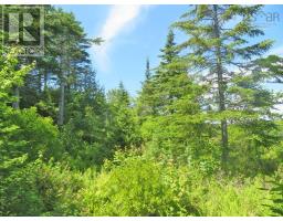Lot 7 Oceanview Road, French Road, NS B1K2A1 Photo 5