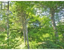 Lot 7 Oceanview Road, French Road, NS B1K2A1 Photo 6