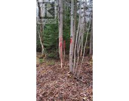 24 2 Little Harbour Road, Frasers Mountain, NS B2H3T5 Photo 4