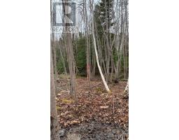 24 2 Little Harbour Road, Frasers Mountain, NS B2H3T5 Photo 5