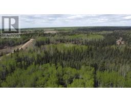 Sw 22 84 3 W 6 Rge Rd 33, Rural Clear Hills County, AB T0H2A0 Photo 7