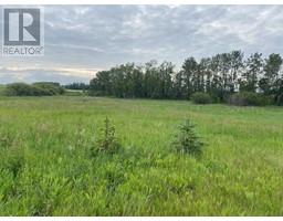 39301 Hwy 835, Rural Stettler No 6 County Of, AB T0C2L0 Photo 5