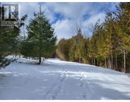 81 Silver Heights Drive, Trent Hills, ON K0L1Y0 Photo 4