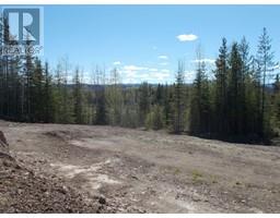 29886 Meanwhile Road, Topley, BC V0J2Y0 Photo 3