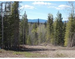 29886 Meanwhile Road, Topley, BC V0J2Y0 Photo 4