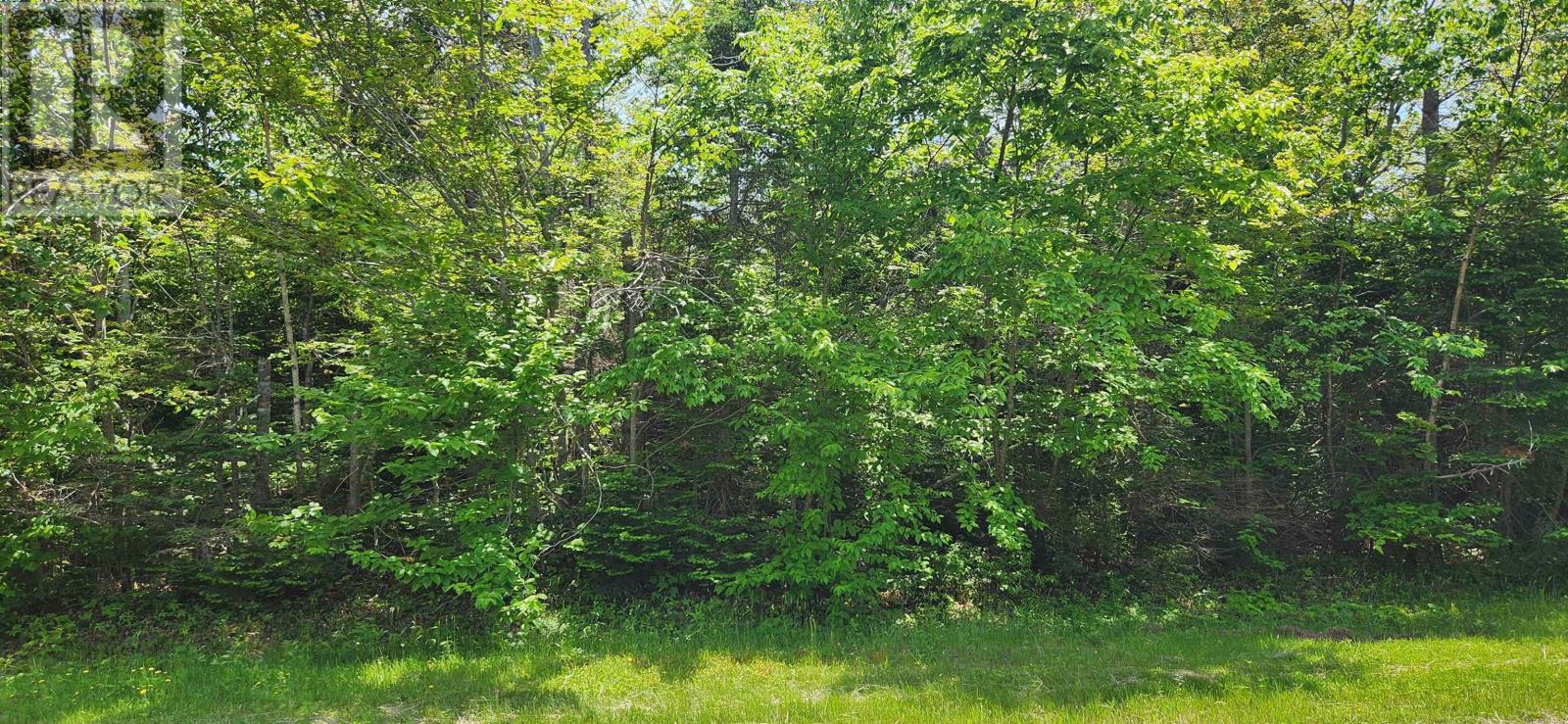 Acreage Greys Road Road